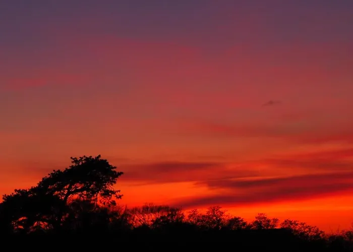 301 Planeta Lägenhet *